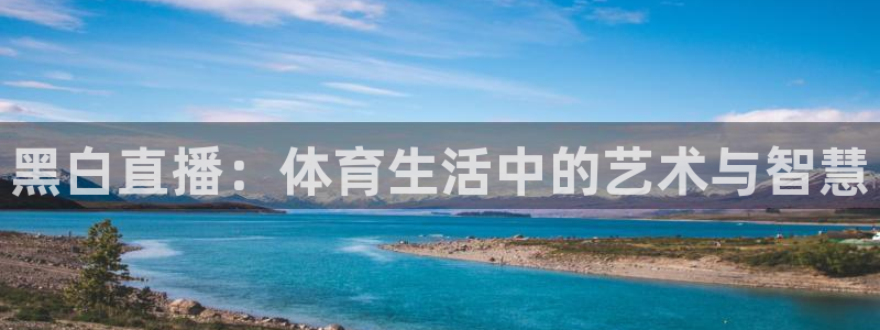 黑白直播：体育生活中的艺术与智慧