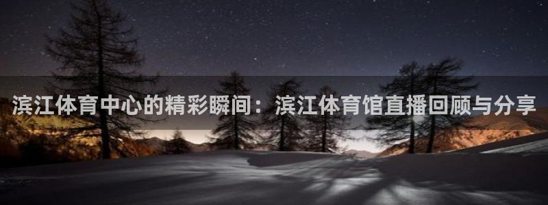 滨江体育中心的精彩瞬间：滨江体育馆直播回顾与分享