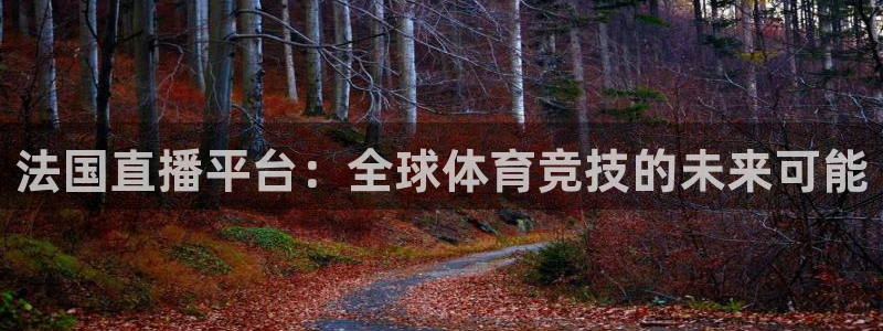 法国直播平台：全球体育竞技的未来可能
